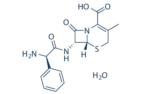Cephalexin Monohydrate
