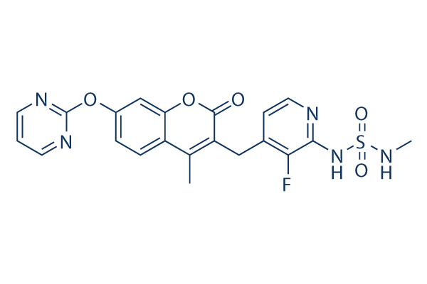 Avutometinib (Ro5126766, CH5126766)