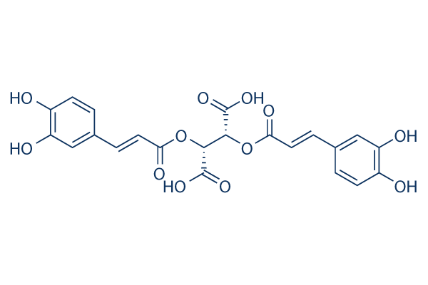 (-)-Chicoric acid