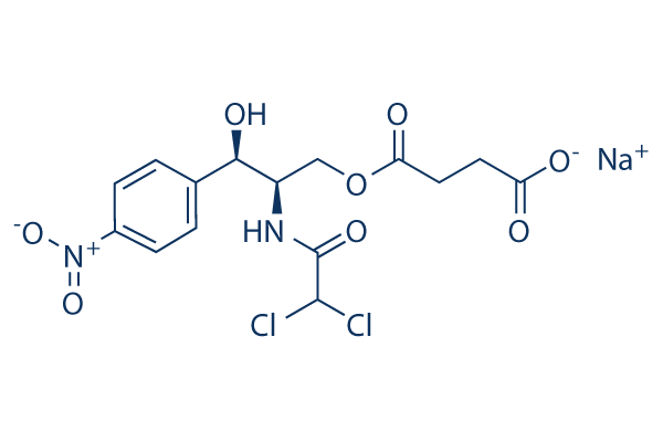 Chloramphenicol sodium succinate