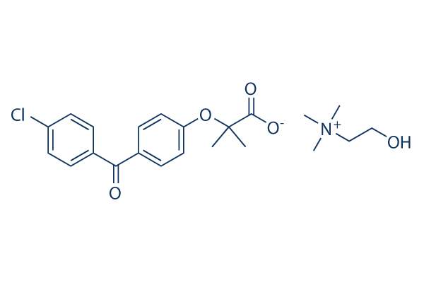 Choline Fenofibrate