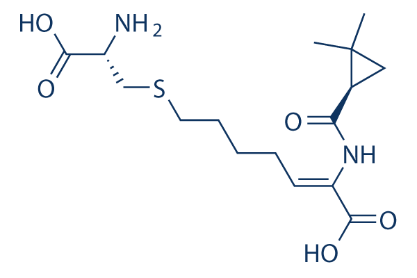 Cilastatin