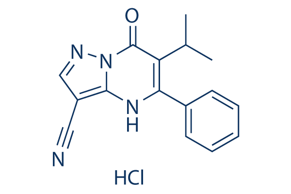 CPI-455 HCl
