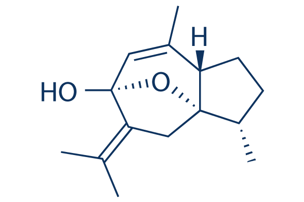 Curcumenol