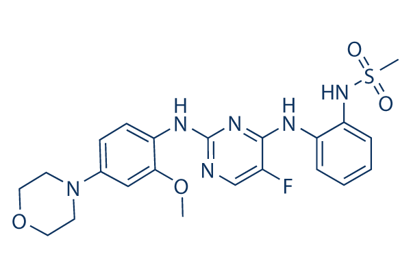 CZC-25146