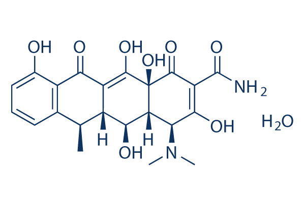Doxycycline monohydrate