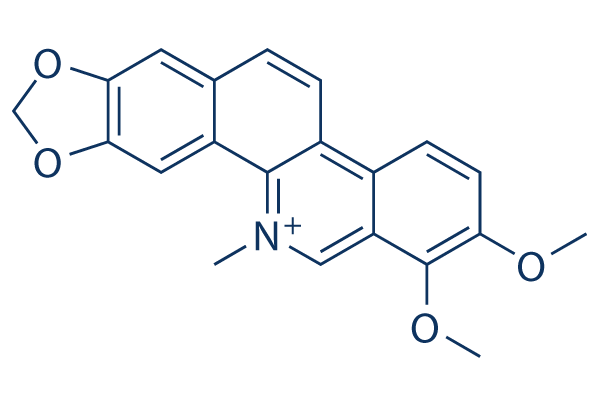 Chelerythrine