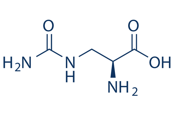 L-Albizziin