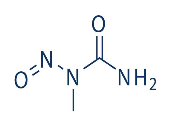 N-Nitroso-N-methylurea (NMU)