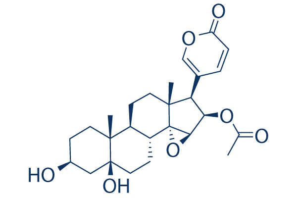 Cinobufotalin