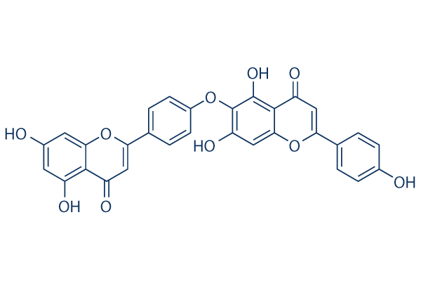 Hinokiflavone