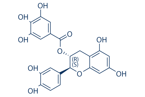 (-)-Catechin gallate