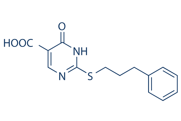 MINA53 inhibitor (Compound 10)