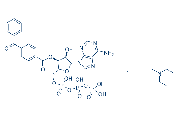 BzATP triethylammonium salt