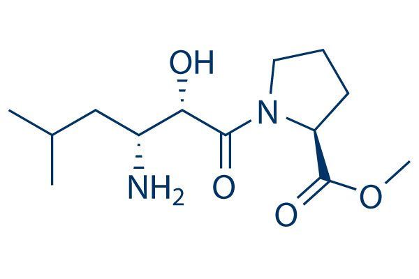 CQ31
