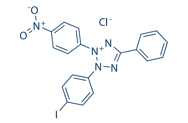Iodonitrotetrazolium chloride