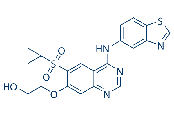 GSK2983559 active metabolite