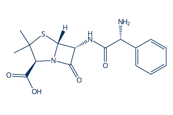 Ampicillin