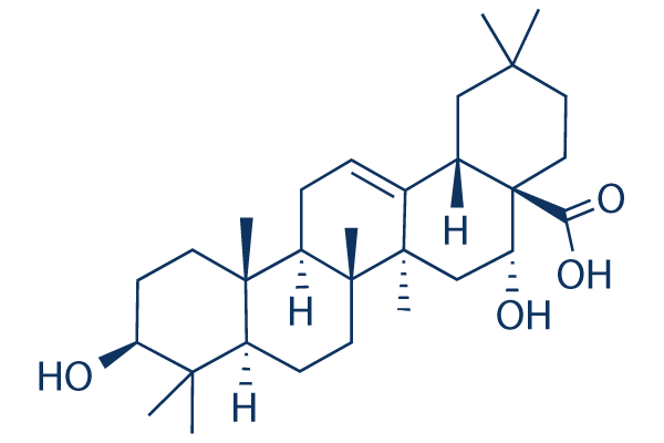 Echinocystic acid