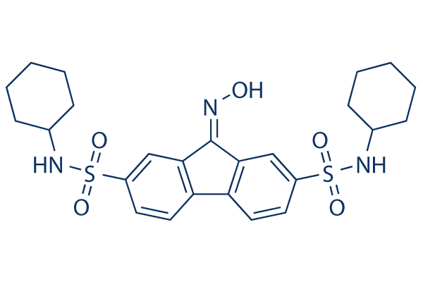 FIN56