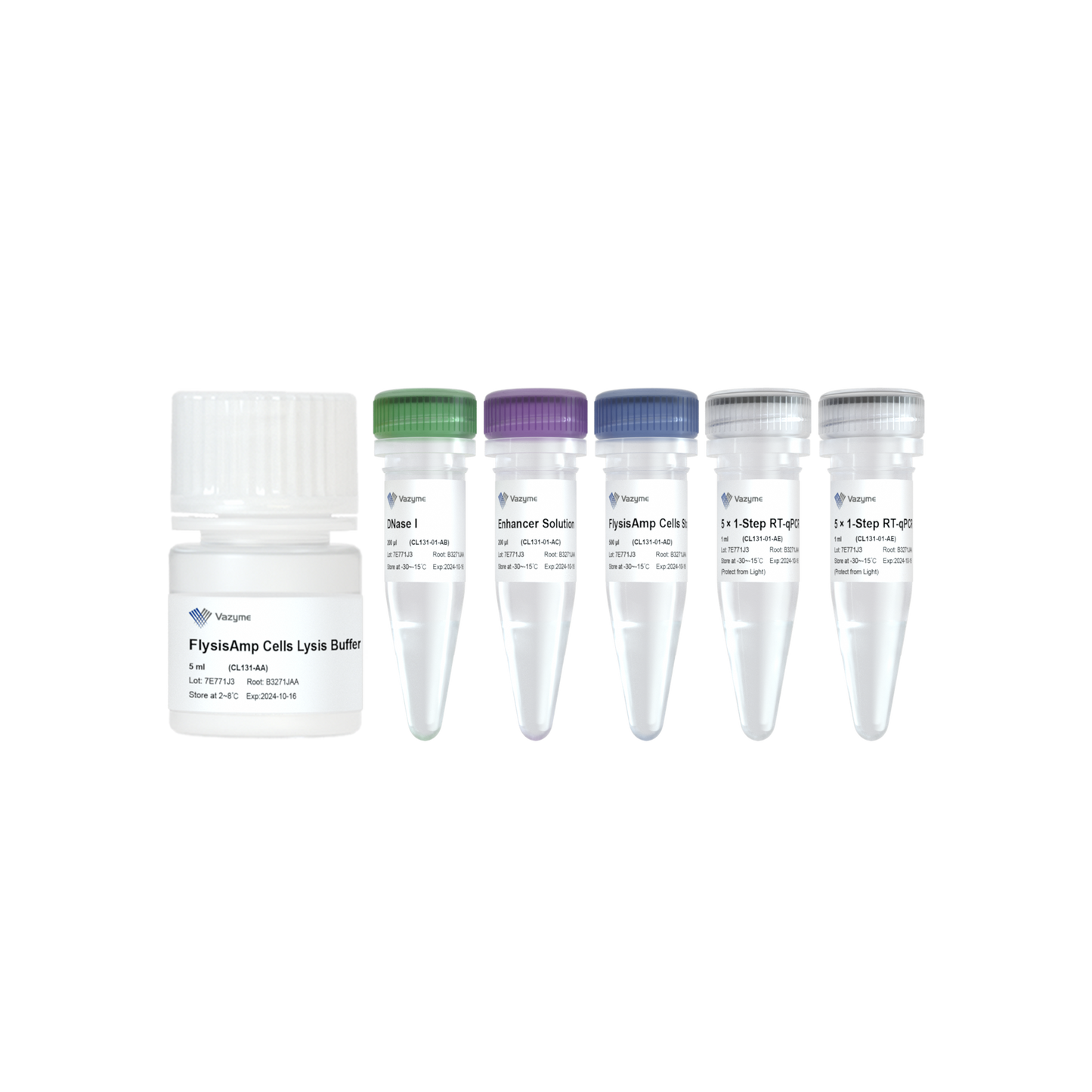 FlysisAmp Cells-to-CT 1-Step Probe Kit