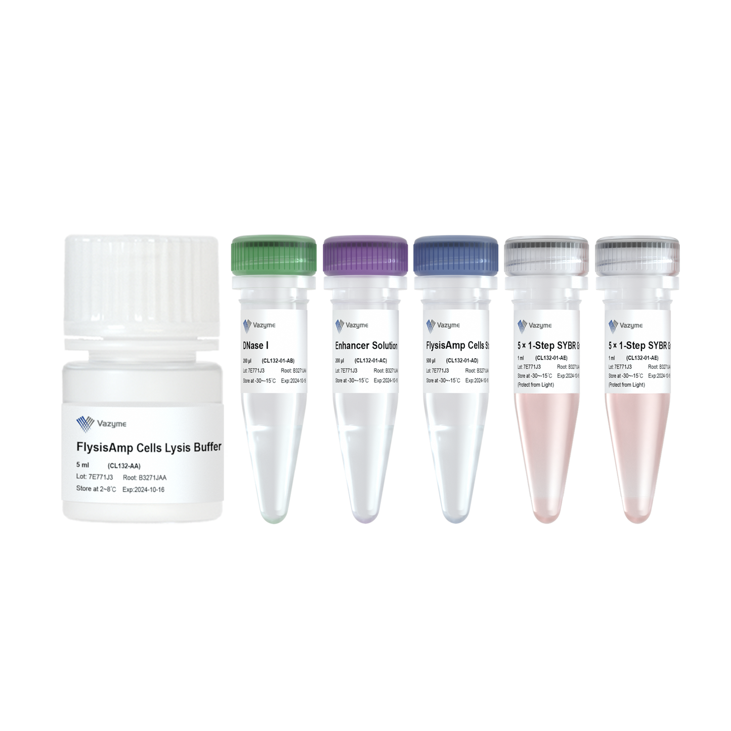 FlysisAmp Cells-to-CT 1-Step SYBR Green Kit