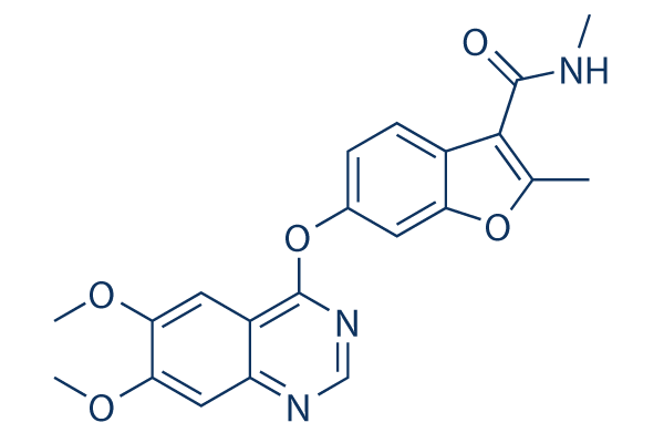 Fruquintinib (HMPL-013)