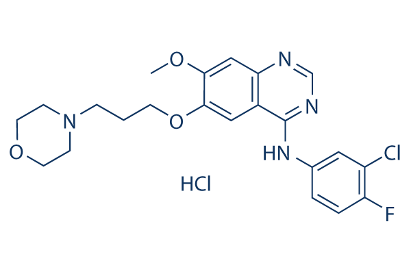 Gefitinib hydrochloride