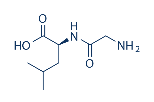 Glycyl-L-leucine