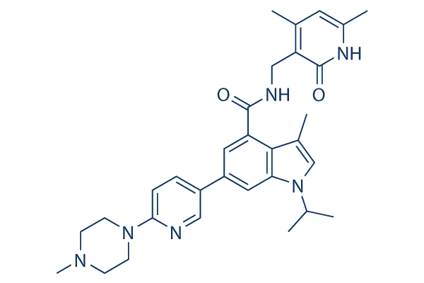 GSK503