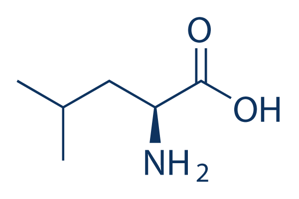 L-Leucine