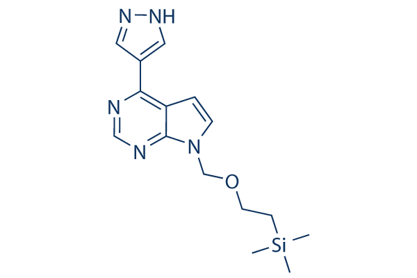 INCB032304