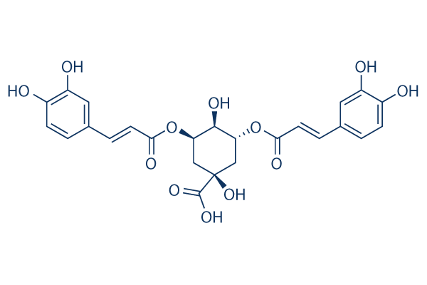 Isochlorogenic acid A