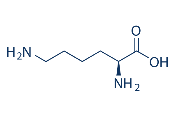 L-lysine