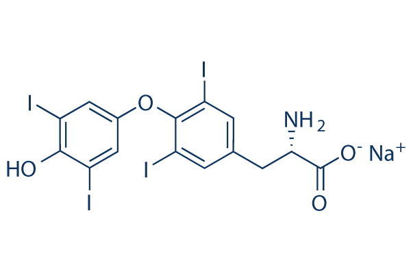 Levothyroxine (L-Thyroxine)sodium
