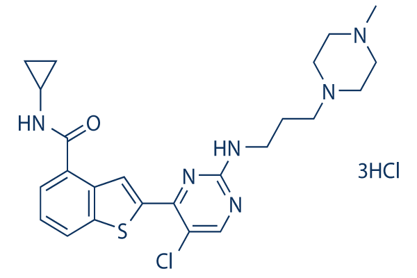 LY2409881