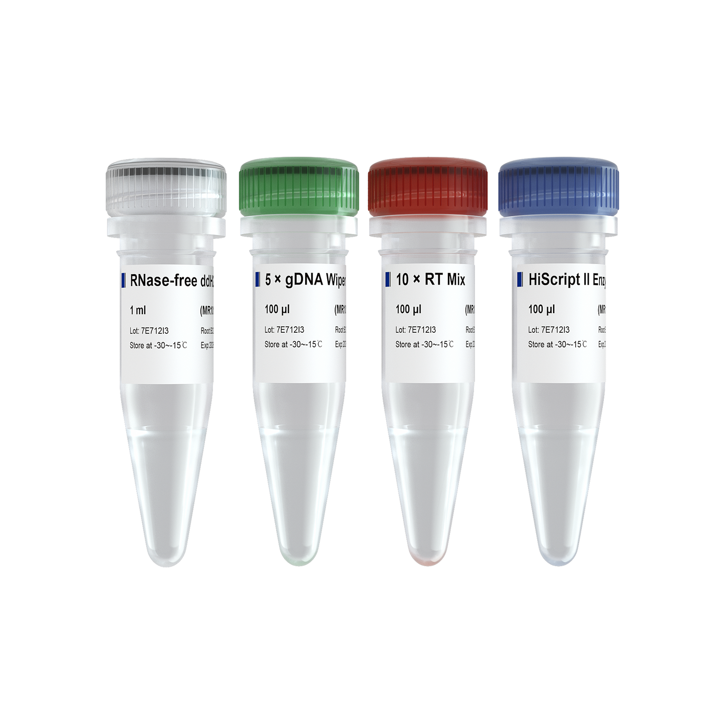 miRNA 1st Strand cDNA Synthesis Kit (by Stem-Loop)