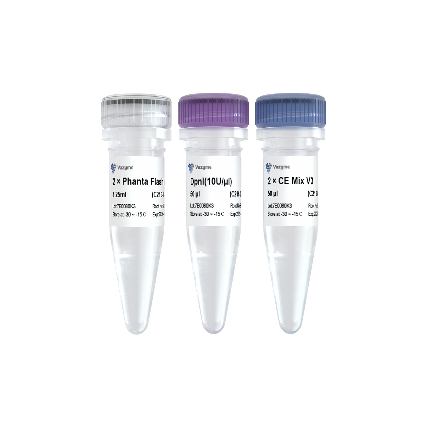 Mut Express Universal Fast Mutagenesis Kit