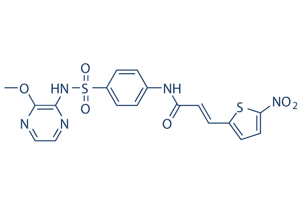 Necrosulfonamide