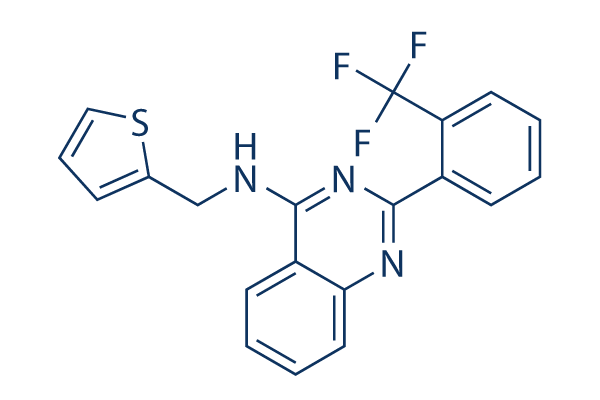 NIH-12848