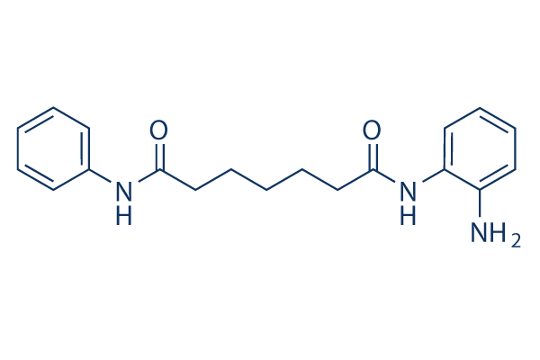 NKL 22