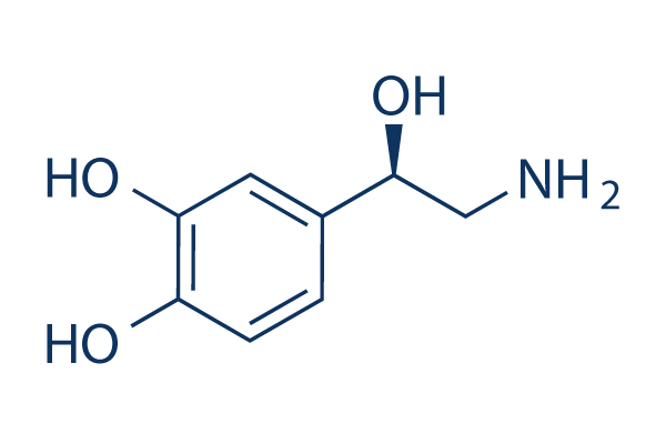 (-)-Norepinephrine