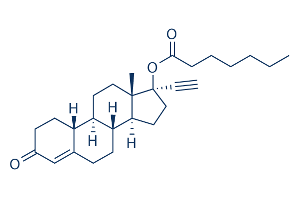 Norethisterone Enanthate