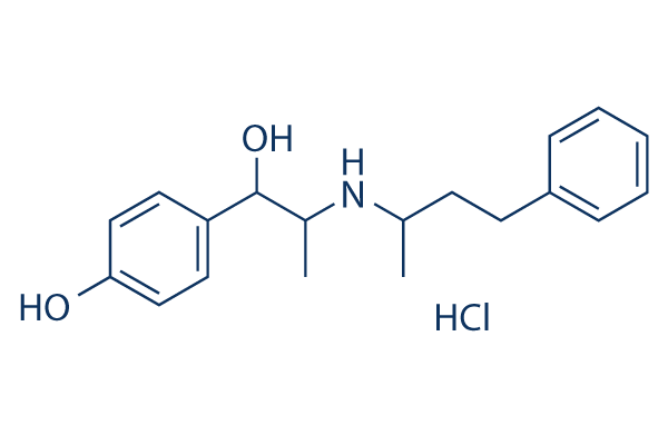 Nylidrin Hydrochloride