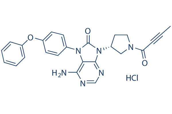 tirabrutinib (ONO-4059)hydrochloride