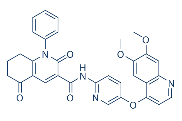 Tamnorzatinib (ONO-7475)