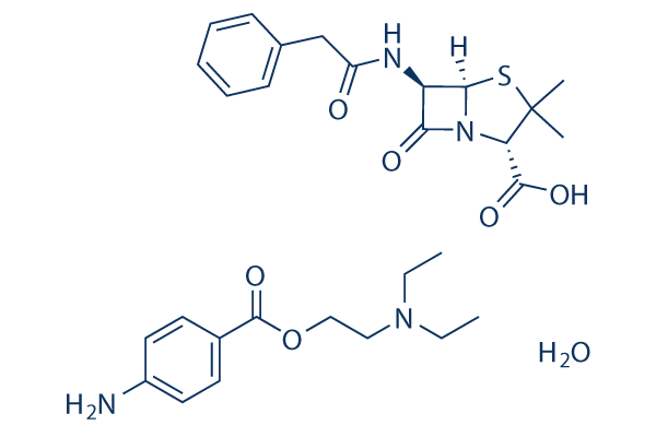 Penicillin G Procaine