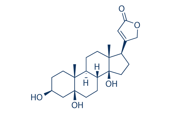 Periplogenin