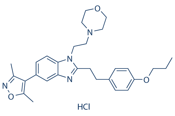 PF-CBP1 HCl