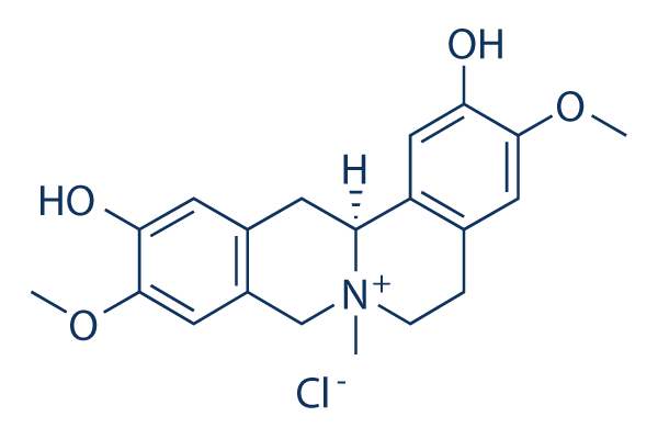 Phellodendrine chloride